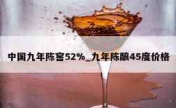 中国九年陈窖52%_九年陈酿45度价格